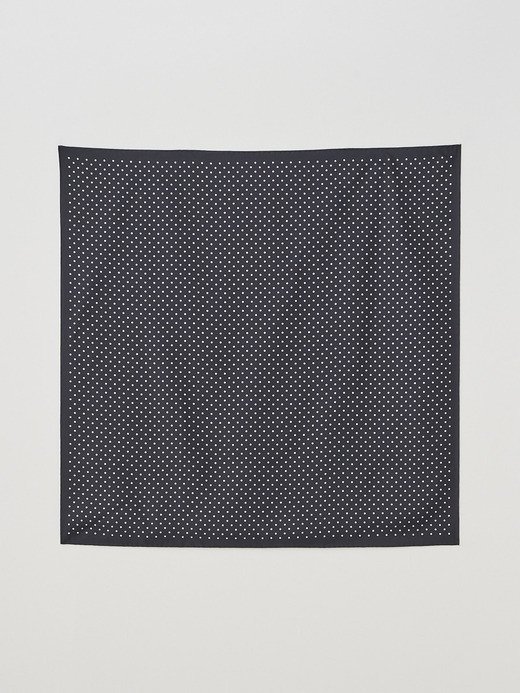 Silk Dot Scarf | LARGE 詳細画像 NO1(L0343PSF751) 2